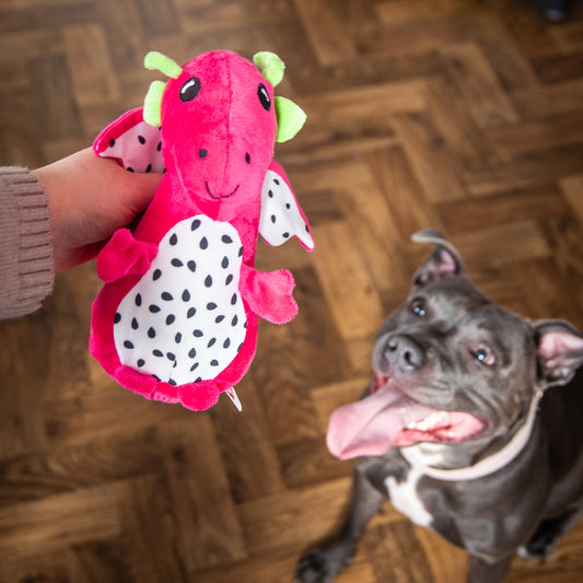 Cooling Dragonfruit Dragon Toy