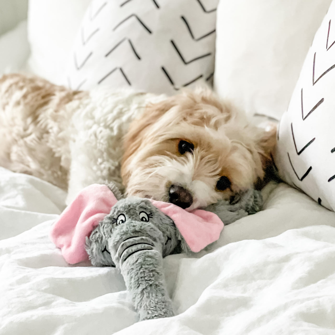 Mad About Pets Wild Crinkler Elephant