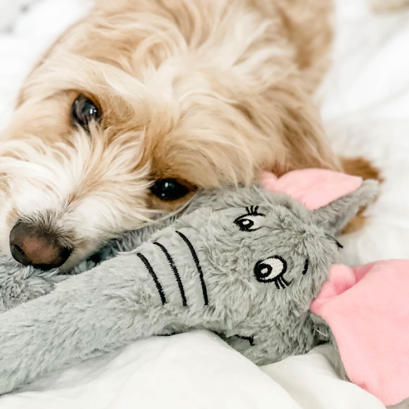 Mad About Pets Wild Crinkler Elephant