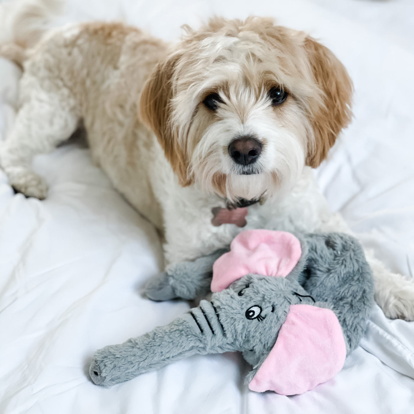 Mad About Pets Wild Crinkler Elephant