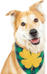 2 Pack Saint Patrick's Day Dog Bandanas - happy pawpets
