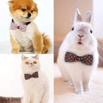 Bow Tie Pet Collar, 2PCS - happy pawpets