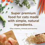 Rachael Ray Nutrish Super Premium Dry Cat Food - happy pawpets