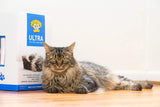 Dr. Elsey's Premium Clumping Cat Litter - happy pawpets