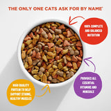 Meow Mix Original Choice Dry Cat Food - happy pawpets