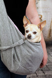 Pet Carrier Shoulder Sling for Small Dogs - happy pawpets