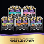 Sheba Perfect Portions Paté Wet Cat Food Tray Variety Packs - happy pawpets