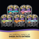 Sheba Perfect Portions Paté Wet Cat Food Tray Variety Packs - happy pawpets