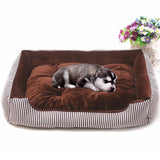 Sleep Couch For Pets - happy pawpets