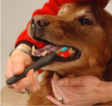 Pets Grooming Tools - happy pawpets