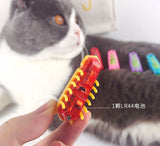 Toy Bug For Cat - happy pawpets