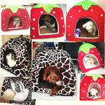 Strawberry Leopard Pet House - happy pawpets