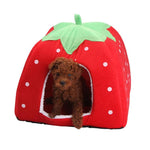 Strawberry Leopard Pet House - happy pawpets