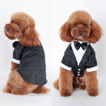 Dog's Tuxedo Suit - happy pawpets