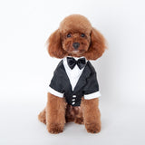 Dog's Tuxedo Suit - happy pawpets