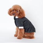 Dog's Tuxedo Suit - happy pawpets