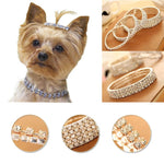 Crystal Dog Collars - happy pawpets