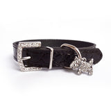 Dogs Bling Rhinestone Collars - happy pawpets