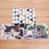 Cats Litter Mat - happy pawpets