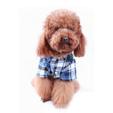 Shirts for Small & Medium Dogs - happy pawpets