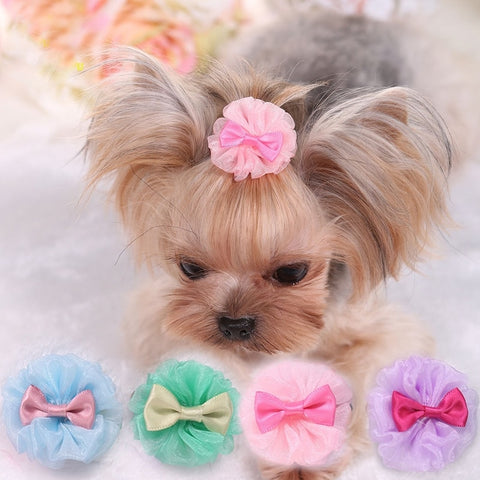 Pets  Cute Hairpin - happy pawpets