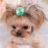 Pets  Cute Hairpin - happy pawpets