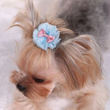 Pets  Cute Hairpin - happy pawpets