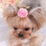 Pets  Cute Hairpin - happy pawpets