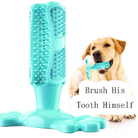 Dogs Chew Brushing Stick Toy - happy pawpets