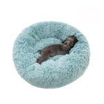 Pets  Sofa bed - happy pawpets