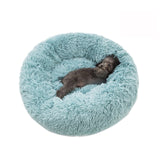 Pets  Sofa bed - happy pawpets