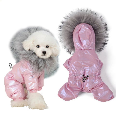 Luxury Fur Collar Coat - happy pawpets