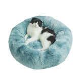 Pets  Sofa Bed - happy pawpets