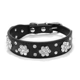 Bling Rhinestone collar