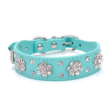 Bling Rhinestone collar