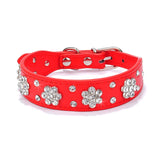 Bling Rhinestone collar