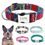 Personalized Pet Collar