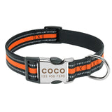 Personalized Pet Collar