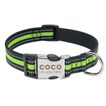 Personalized Pet Collar