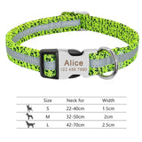 Personalized Pet Collar