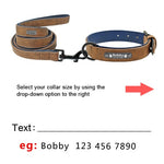 Custom  Collars