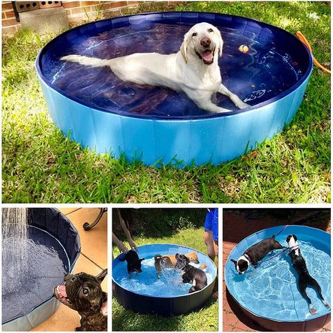 Foldable Dog Pool - happy pawpets