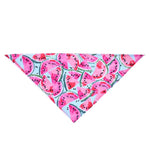 Fruit Print  Bandana - happy pawpets