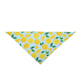 Fruit Print  Bandana - happy pawpets