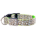 Leopard LED  Collar