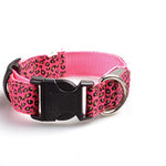 Leopard LED  Collar