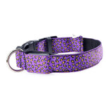 Leopard LED  Collar