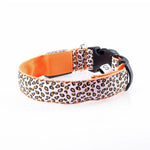 Leopard LED  Collar