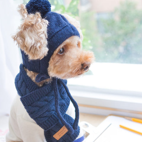 Luxury Knitting Hats Scarf - happy pawpets