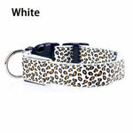 Leopard LED  Collar